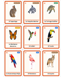 EduKIT Lotería de Animales de México para Primaria | 32 Animales, 20 Tableros y Portal Interactivo 13 Imagen 6 39