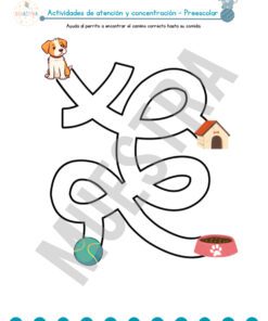 InShot 20260126 211411742