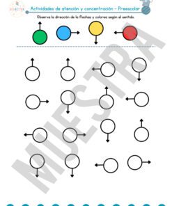 InShot 20260126 211601909