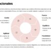 Infografía sobre circuitos funcionales con texto y un gráfico circular que muestra cinco áreas: Cardio, Fuerza, Equilibrio, Flexibilidad y Agilidad, destacando sus beneficios dentro del entrenamiento físico.