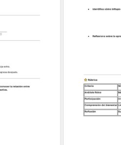 Documento en español de dos páginas con un ejercicio para alumnos sobre el bienestar físico. La primera página da las instrucciones y una tabla para el grupo y el género. La segunda página tiene dos preguntas y una tabla de rúbricas con criterios y niveles de evaluación.