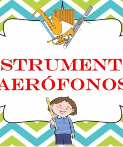 Instrumentos Aerófonos