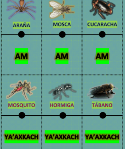 Juegos de dominó de palabras en lengua maya02