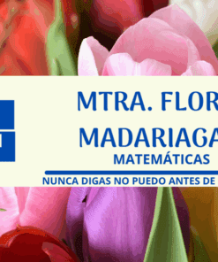 Una tarjeta de visita sobre tulipanes de colores reza: 