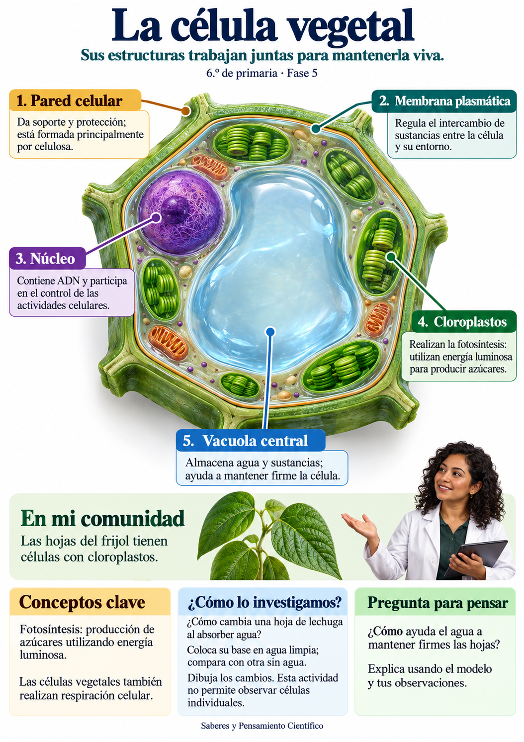 Biblioteca_Completa_Prompts_NEM 3 Biblioteca_Completa_Prompts_NEM - Imagen 3