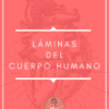 Portada rosa con un corazón humano esbozado de fondo. El texto en blanco dice "Láminas del Cuerpo Humano". En la parte inferior hay un logotipo circular con una persona de dibujos animados con gafas y el texto "Mtro. Afzai".
