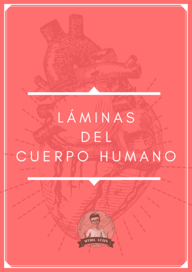 Portada rosa con un corazón humano esbozado de fondo. El texto en blanco dice "Láminas del Cuerpo Humano". En la parte inferior hay un logotipo circular con una persona de dibujos animados con gafas y el texto "Mtro. Afzai".