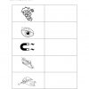 LectoEscritura Infantil Pre silábico 11