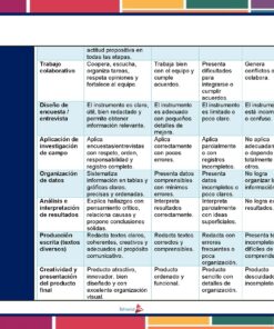 Una tabla de rúbricas en español evalúa el trabajo en grupo, el diseño de las entrevistas, el trabajo de campo, la organización de los datos y la producción de la investigación, con cuatro niveles de rendimiento y una escala de 10 puntos para cada criterio.