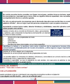 Un documento educativo en español que describe los objetivos, el contenido y la metodología de la comprensión lectora. Las secciones clave están codificadas por colores y recuadradas, con énfasis en el desarrollo de las habilidades de lectura y reflexión.