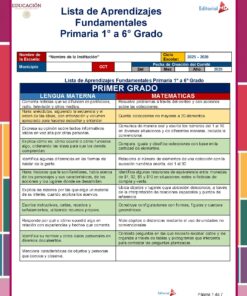 Un colorido cuadro educativo que enumera los objetivos fundamentales de aprendizaje para el primer grado en México, dividido en dos secciones: Lengua Materna a la izquierda y Matemáticas a la derecha.
