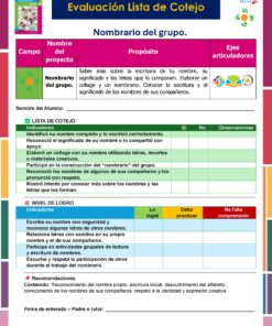 Un formulario de evaluación en forma de lista de control para un proyecto llamado 