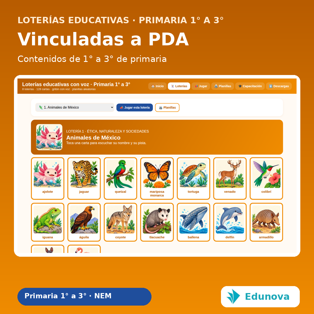 Loterías Educativas con Voz Primaria 1° a 3° | 8 Juegos Interactivos, 128 Cartas y Recursos NEM 6 Loterías Educativas con Voz Primaria 1° a 3° | 8 Juegos Interactivos, 128 Cartas y Recursos NEM - Imagen 6