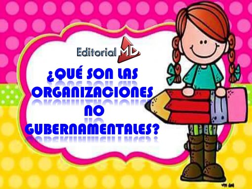 ORGANIZACIONES NO GUBERNAMENTALES