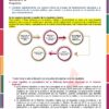 Orientaciones CTE Fase Intensiva Editorial MD Primaria page 0012