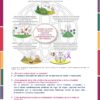 Orientaciones MD CTE 2da Sesion Noviembre 2023 page 0008