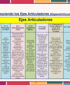 Tema 2 Contestado: Programa Analítico CTE NEM 2025 - 2026 (Todos los Niveles) 19 Un cuadro titulado