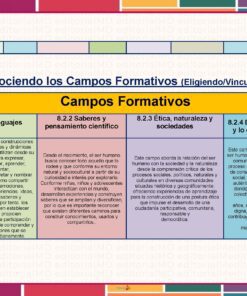 Tema 2 Contestado: Programa Analítico CTE NEM 2025 - 2026 (Todos los Niveles) 18 Tabla colorida titulada