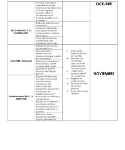 PLAN ANUAL 5o Y 6o GRADO 2026 2027 7