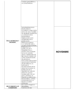 PLAN ANUAL 5o Y 6o GRADO 2026 2027 8