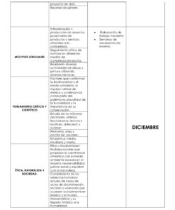 PLAN ANUAL 5o Y 6o GRADO 2026 2027 9