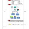 Ficha didáctica sobre estadística y visualización de datos con definiciones, tipos de gráficos y actividades para alumnos.