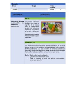 VIDA SALUDABLE PLANEACIONES SECUNDARIA TOMO 2 7 Ficha didáctica en español sobre el valor nutritivo de los alimentos autóctonos, con un apartado de objetivos didácticos, una lista de actividades y una foto de frutas, frutos secos y semillas variados sobre una tabla de madera.