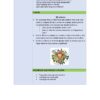 PLANEACIONES DE VIDA SALUDABLE SECUNDARIA TOMO 3 9 Hoja de trabajo en español con viñetas sobre la familia y el medio ambiente, un dibujo animado de un niño rodeado de material escolar y un recuadro verde con consejos para la investigación. El fondo es morado claro y azul.