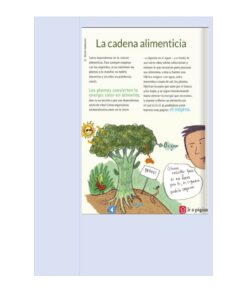 Una página en español explica la cadena alimentaria, mostrando un árbol, el sol y una persona. El texto destaca el papel de las plantas en la conversión de la luz solar en energía, la producción de oxígeno y el mantenimiento de la vida. Hay un globo de diálogo de la persona.