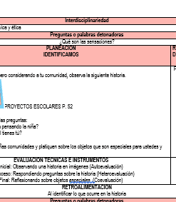 Un documento describe un plan de aprendizaje basado en proyectos en español, centrándose en la observación de historias y PROYECTO SEGUNDO ACCIONES COMUNITARIAS SOSTENIBLES. Las secciones incluyen 