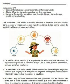 Pagina 1 guia 1 ciencias J