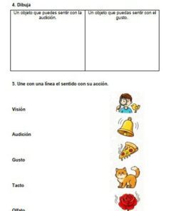 Pagina 3 guia 1 ciencias J