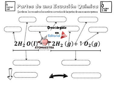 Cuadernillo de Química Completo - Image 8