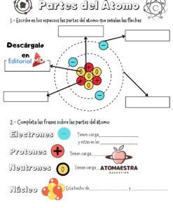 Partes del Atomo