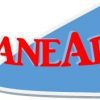 PlaneArte