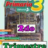 Planeación 3 grado de Primaria (Segundo trimestre)