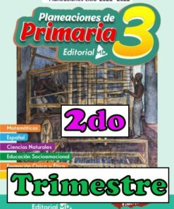 Planeación 3 grado de Primaria (Segundo trimestre)