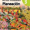 Planeación Artes Visuales 3° de Secundaria (1er Trimestre)