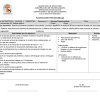 Planeacion Matematicas 2° Trimestre I Red page 0005