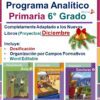 descargar planeacion de diciembre sexto grado