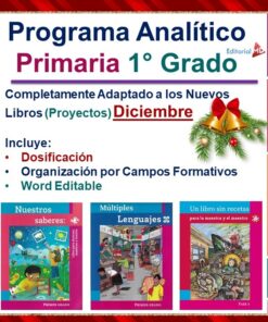 descargar planeacion de diciembre primer grado