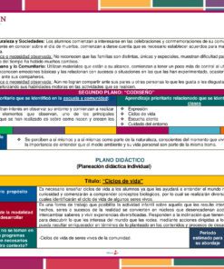 Planeacion ciclos de la vida2