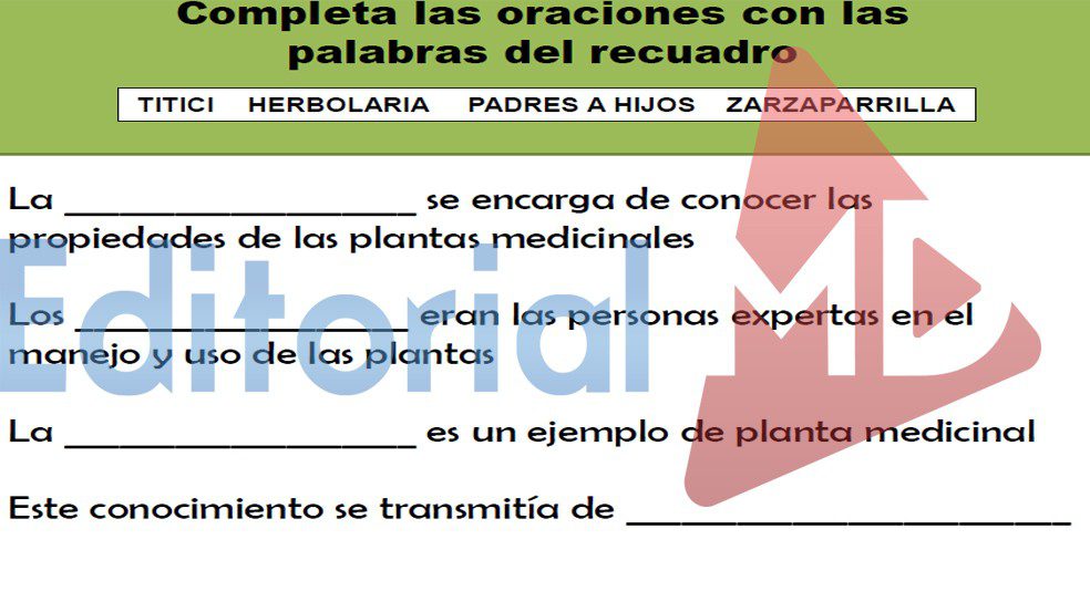 plantas-medicinales