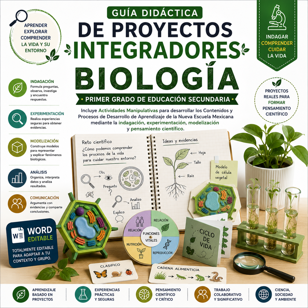 Proyectos Integradores de Biología 1° Secundaria | NEM 2026-2027 | Word Editable 1 Proyectos Integradores de Biología 1° Secundaria | NEM 2026-2027 | Word Editable