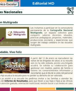 Captura de pantalla de una sección del boletín digital con cabeceras verdes y azules. Destaca las estrategias nacionales: 