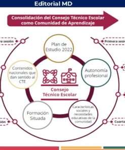 Infografía que muestra la estructura del Consejo Técnico Escolar como Comunidad de Aprendizaje, con un diagrama circular en el que se destacan las sesiones, el plan de estudios, la formación situada, la autonomía profesional y las necesidades educativas.