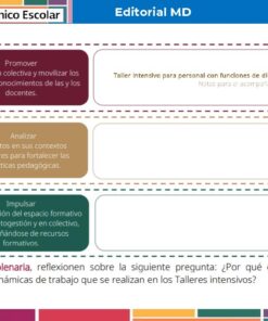 Un cuadro con tres casillas de colores: rosa para promover la reflexión colectiva, naranja para analizar los contextos escolares y verde para fomentar la organización desde la autonomía, utilizado para los talleres de los consejos técnicos escolares.
