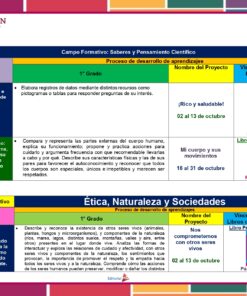 Un cuadro educativo que detalla los planes de aprendizaje para 1° Primaria en Ciencias (Física) y Ética para el Programa Analítico 1° Primaria (Planeación Octubre 2023). Menciona actividades, objetivos y páginas de libros de texto asociadas, con bordes coloridos e ilustraciones de libros.