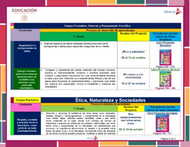 Un cuadro educativo que detalla los planes de aprendizaje para 1° Primaria en Ciencias (Física) y Ética para el Programa Analítico 1° Primaria (Planeación Octubre 2023). Menciona actividades, objetivos y páginas de libros de texto asociadas, con bordes coloridos e ilustraciones de libros.