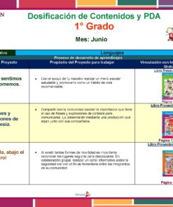 Cuadro detallado de contenidos educativos y planes de lecciones de 1.er grado para el mes de junio. Incluye los títulos del proyecto, los objetivos de aprendizaje y las referencias de las páginas del libro de texto. El gráfico presenta secciones coloridas para temas de diferentes idiomas.